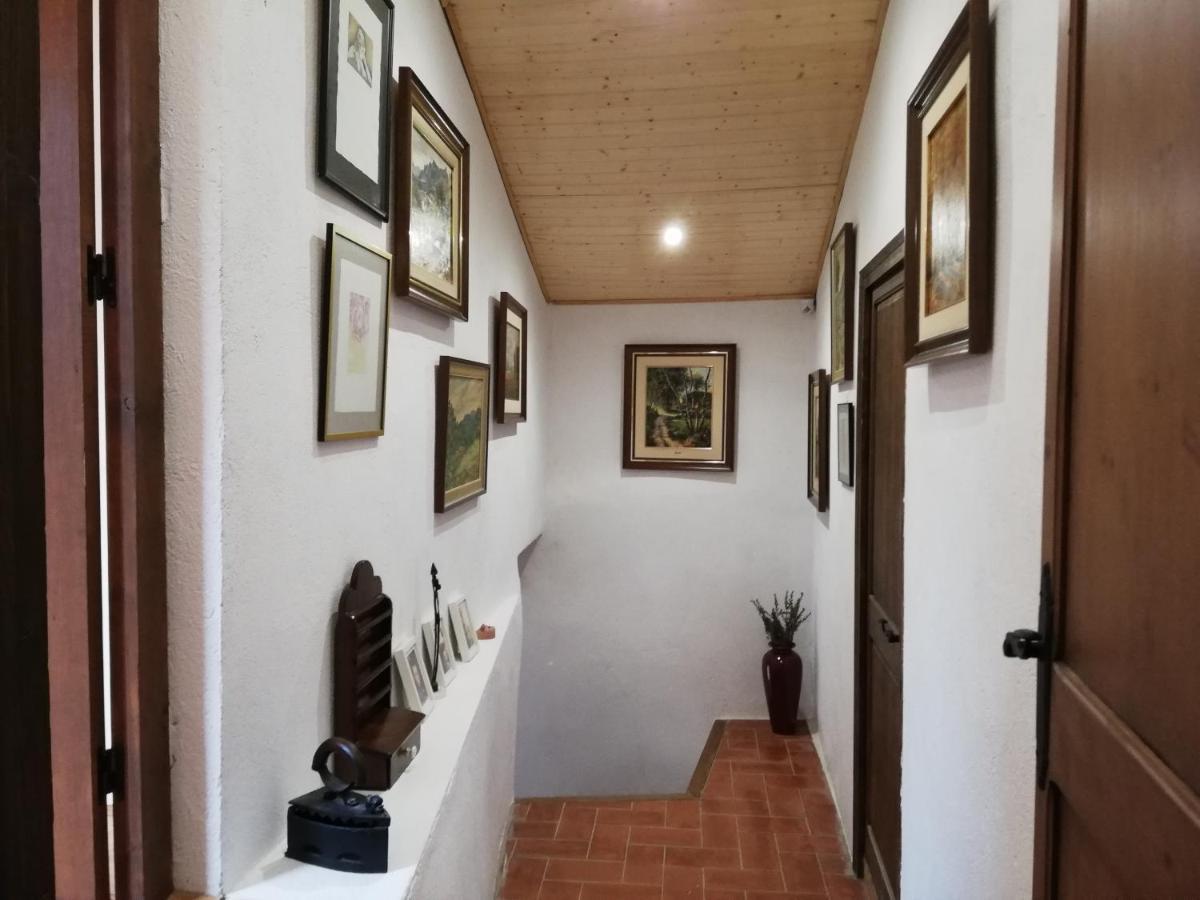Appartement Cal Bové à Sant Guim de Freixenet Extérieur photo